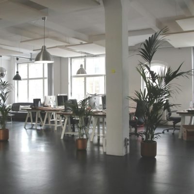 Spacious modern office interior with desks, plants, and natural lighting in Berlin.